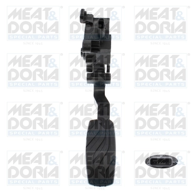 Accelerator Pedal Unit
